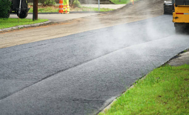 Best Residential Paver Driveway  in Elmendorf, TX